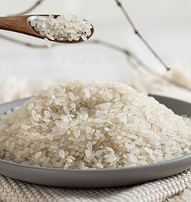 Germ Rice