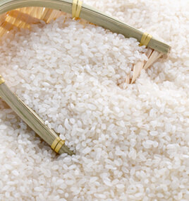Japonica Rice/Indica Rice