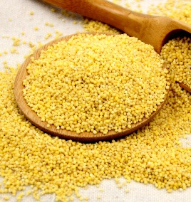 Little Yellow Rice