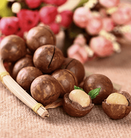 Macadamia Nut