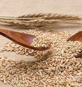 Oats