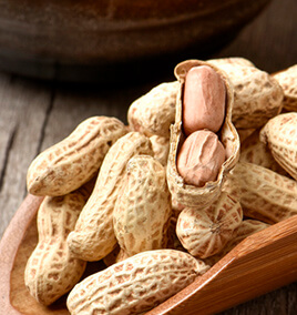 Peanut