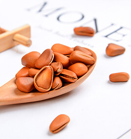 Pine Nut