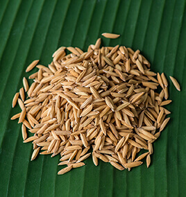 Rice Seed