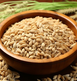 Wheat