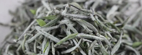 White Tea